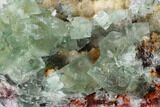 Green Cubic Fluorite Crystal Cluster on Quartz - Morocco #164557-2